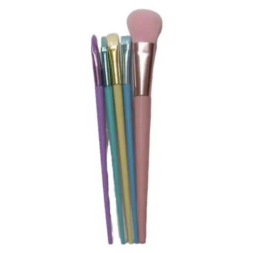 SET DE BROCHAS